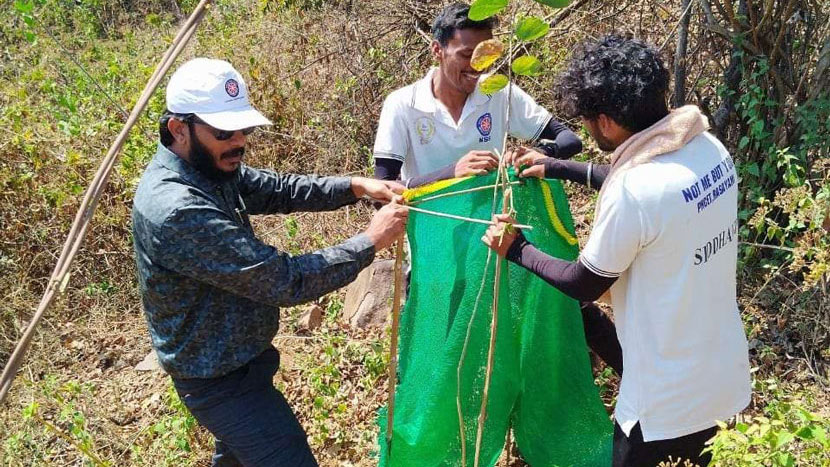 forest-conservation (2)