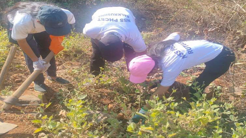 forest-conservation (3)