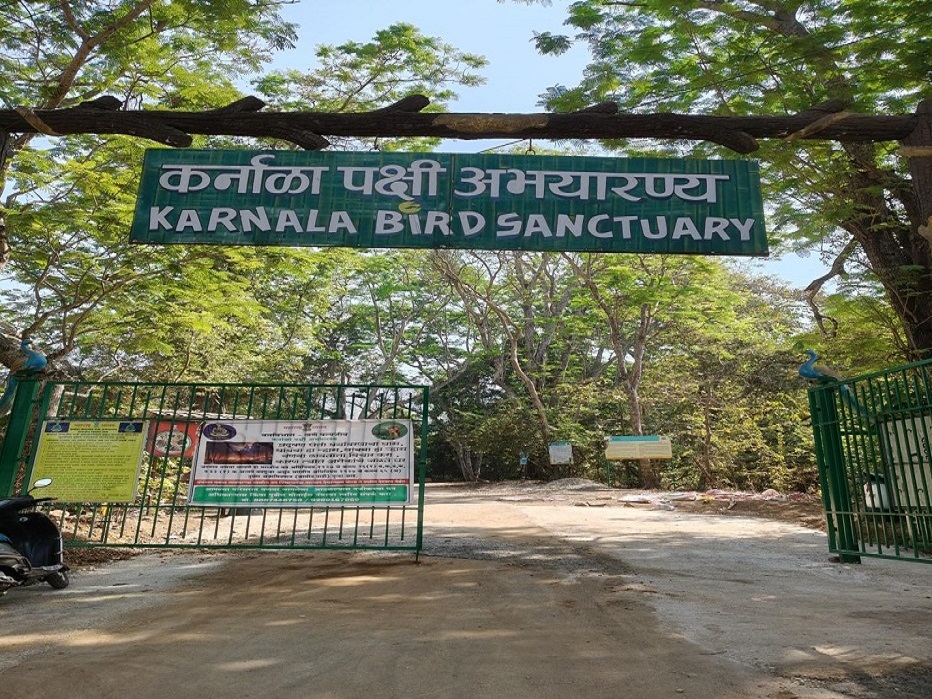 Noise-Pollution-Awareness-2025 (1)